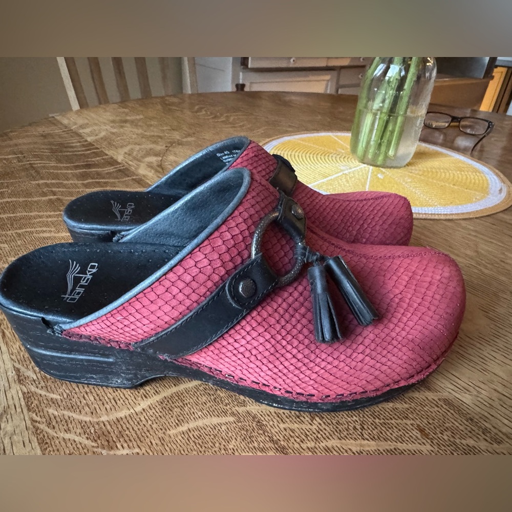 Dansko Clogs.  Red with black tassels. Very comfortable, cute and unique.